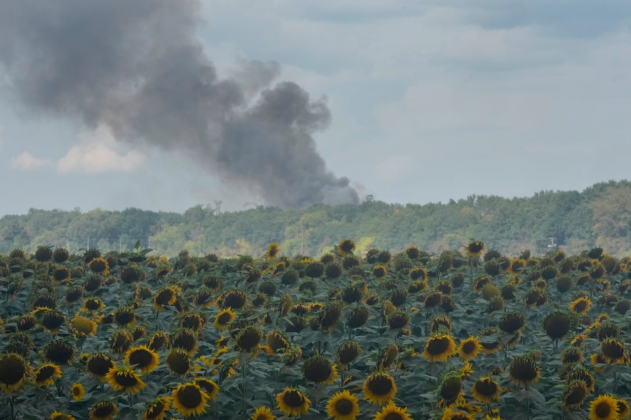 default-49 A sunflower field is seen in the foreground, with smoke seen in the background, wafting from a Kyiv warehouse (unseen in the image) that was hit in a Russian air attack.